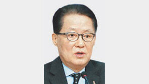 박지원 의원 16일 訪北 신청… 김정일 3주기 조화 전달할 듯 