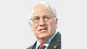 체니 前부통령 “CIA 테러범 신문은 고문 아니다”