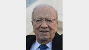 ‘아랍의 봄’ 3년 만에 튀니지 첫 민선 대통령