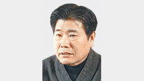 [광주/전남]대하소설 ‘이순신의 7년’… 전남도 홈피에 1년간 연재