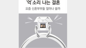 [그래픽 뉴스]億億! 소리나는 결혼자금… 평균 2억3798만원 