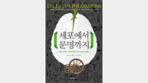 [책의 향기]‘상호작용+관계’… 10억년의 진화가 오늘을 낳은 키워드