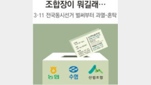 연봉 1억에 수십억 예산 집행권… 대출-人事 거머쥔 ‘농어촌 권력’