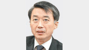 “IS의 문화재 파괴, ICC조사 적합여부 검토”