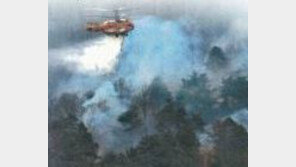 정선서 산불, 소방인력 900명 투입해 6시간 동안 진화...건조주의보 발효 