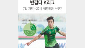 녹색 그라운드, 9개월의 열광 속으로