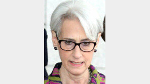 “값싼 박수 받으려는 건 셔먼” 美서도 역풍  