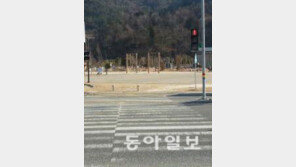 무단횡단 단속 강화, '교통사고 줄이기' 주요 대책 보니…