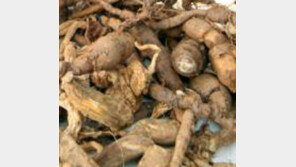 백수오 논란, “32개 中 3개만 진짜” 소비자원 발표에 백수오 업체 ‘반발’ 소송 불사?