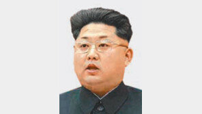 “김정은 北내부문제로 러 방문 취소”