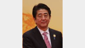 "세계 역사학자 187명이 뭉쳤다" 아베는 지금…