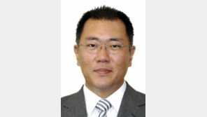 정의선 부회장, 러 시장 점검위해 11일 출국