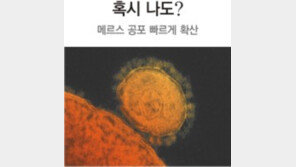 3차감염까지… 방심 뚫은 메르스 