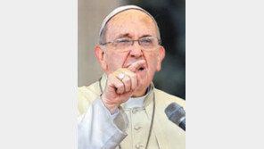 교황 “화석연료 사용 줄여 지구파괴 막자”