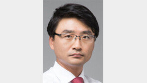 [광화문에서/이동영]공소시효 없애면 진호 형제 살아오나