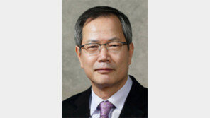 [동아광장/천영우]북한의 법적 지위와 일본의 자위권 행사