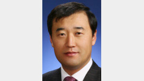 [열린시선/최원목]국민정서와 절차 무시한 대외정책