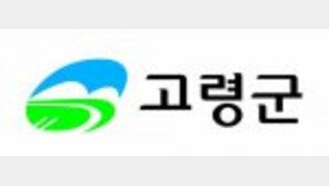 [2016 대한민국 창조경제 대상]우륵 선생의 예술혼 계승해 한류문화 선도