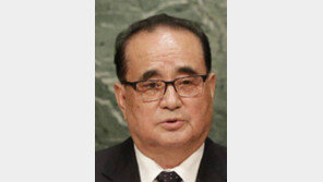 北 이수용 외무상 4월 넷째주 뉴욕 방문