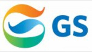 [It's Design]GS, 아파트 평면의 혁신… 테라스하우스로 인기몰이 