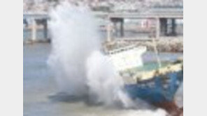 183명 태운 여객선 여수서 강풍에 밀려 좌주…강풍 피해 속출