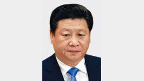 시진핑 “변기뚜껑까지 국내서 못구해 해외서 사와야 하나”