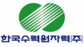 [2016 한국산업대상/글로벌 부문]해외 원전은 물론 수력발전에도 적극 참여 