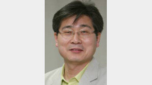 [광화문에서/이광표]마을벽화 유감