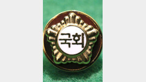 “금배지 없애자” 국회규칙 개정 추진