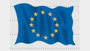 브렉시트 국민투표 투표율 71.2%…초반 개표 ‘탈퇴’ 근소한 우위