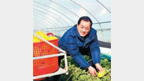 사드, 경북 성주에 배치 유력…성주군수 “인구 적다고…군민 우롱” 분개