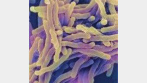 이대목동병원 간호사 결핵, 신생아 160명 비상…작년 2000여명 사망