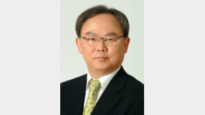 ‘200억원대 소송 사기’ 기준 전 롯데물산 사장 구속