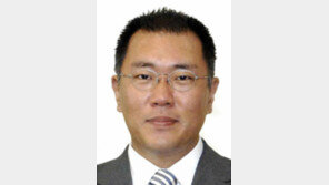 정의선 양궁협회장 세 번째 연임