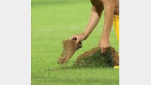 한국 시리아전, 우려했던 ‘떡잔디’ 위에서 경기…이천수 “옛 생각 난다” 걱정