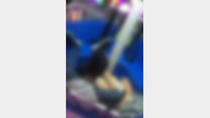 대관람차 안에서 민망 성행위 男女, 카메라에 ‘딱’