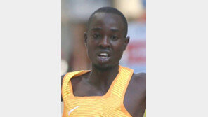 청명한 가을… 9000여명 서울 도심 ‘행복 레이스’