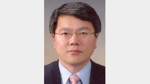 [동아광장/김용하]국가 위기관리와 레임덕