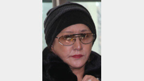 [뉴스파일]‘무기 로비스트’ 린다 김, 필로폰 투약 혐의 구속