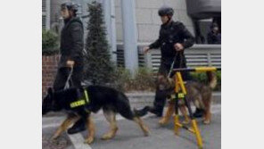 경주서 폭탄추정 물체에 발견에 규모 2.4 지진 까지 하루종일 뒤숭숭