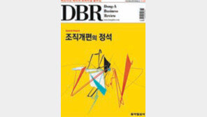 [DBR]리스크 낮추는 혁신 추구 방법