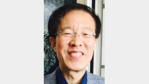 [이슈&진단/이석연]위기의 정국, 헌법에 맞는 돌파구 찾아야