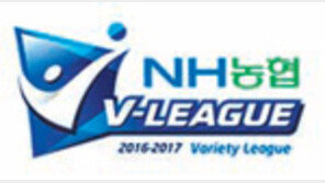 대한항공, 믿음직한 삼각편대