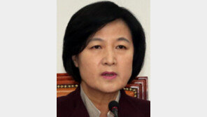 추미애 “대통령 3차 담화 무책임의 극치…與도 꼼수 말고 탄핵 적극 협조하라”