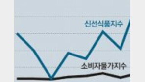 올해 소비자물가 상승 1.0%… 내년 예상은?