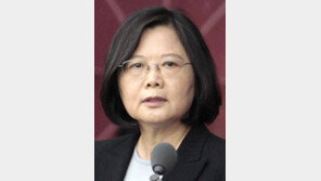 미국 땅 맘대로 못밟는 대만총통