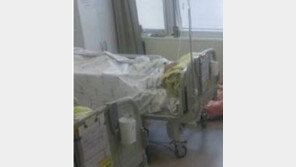 울산서 CJD 의심사례…질본 “산발성 환자…인간 광우병과 무관”