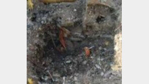 종로3가역 3층 건물 철거중 붕괴…인부들 굴착기와 함께 추락 ‘2명 매몰’