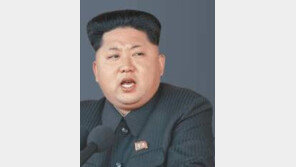 “北당국, 주민에 ‘제가 원수님 심려 끼쳐드렸다’ 자아비판 강요”