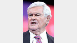 “트럼프 정신은 낡은 워싱턴 질서 뒤엎어 바로잡겠다는 것”